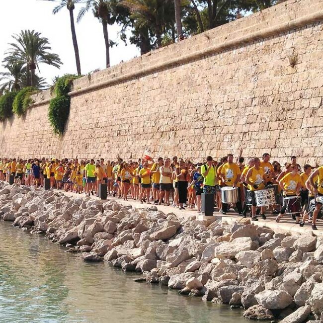 Canavall arribant a la batalla